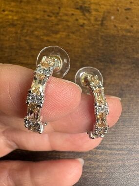 Elegant Champagne Crystal Hoop Earrings